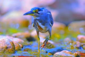 用户要求不少于1475个字。我需要涵盖以下几个方面，世界杯2026是哪个国家