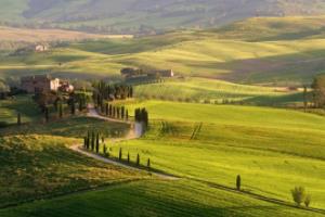 用户要求不少于1475个字。我需要涵盖以下几个方面，世界杯2026是哪个国家